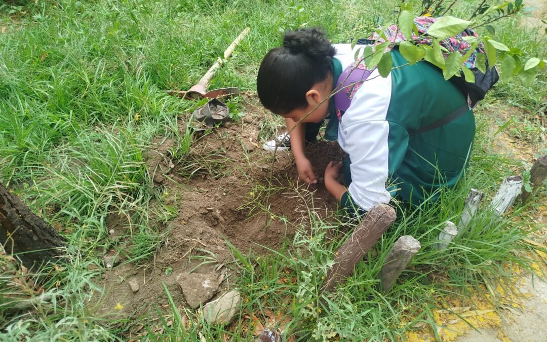 Primero de octubre se recuerda Dia del Arbol